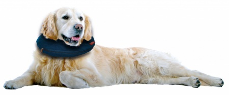 VET-AIRCOLLAR-L
